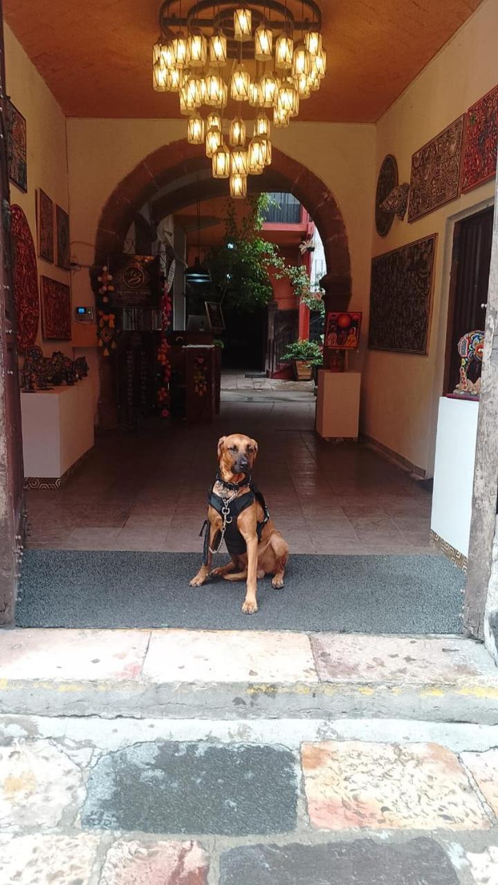Aparthotel Sarita Centro Historico Sma سان ميغيل دي الليندي المظهر الخارجي الصورة