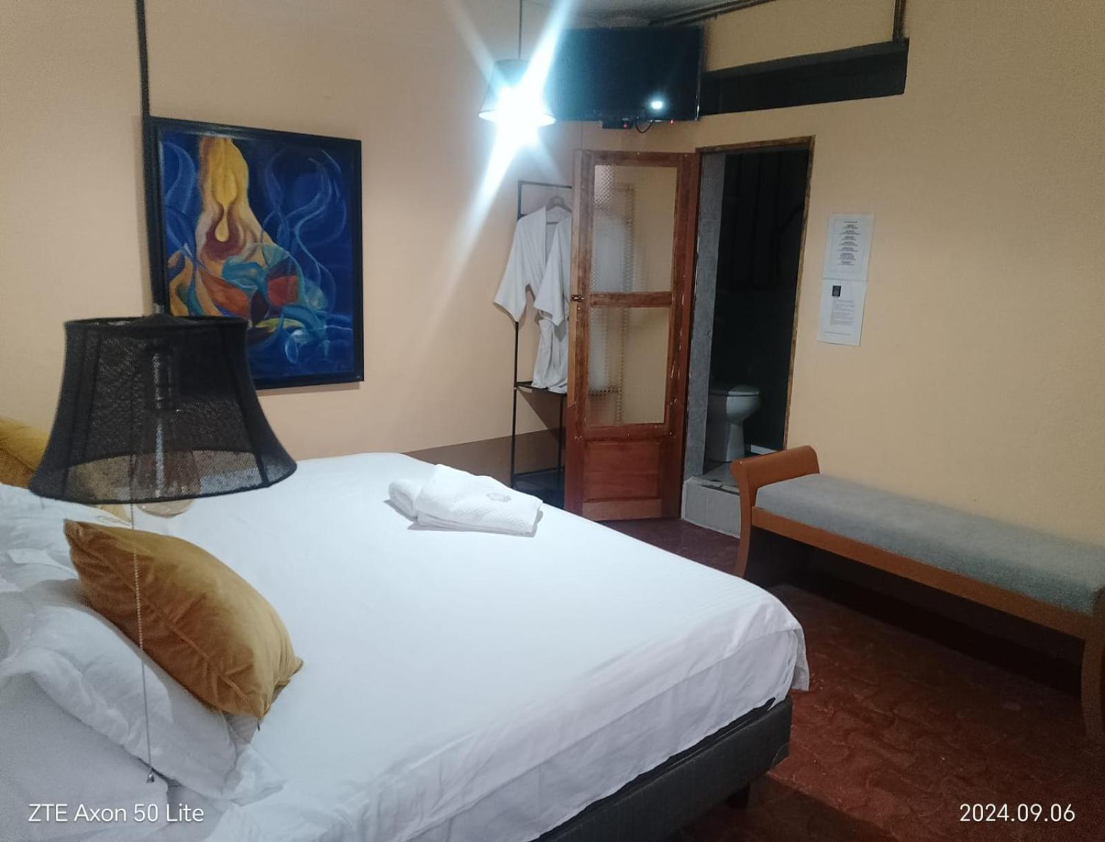 Aparthotel Sarita Centro Historico Sma سان ميغيل دي الليندي المظهر الخارجي الصورة